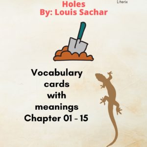 Holes Vocabulary Cards With Meanings (Chapter 01-15)